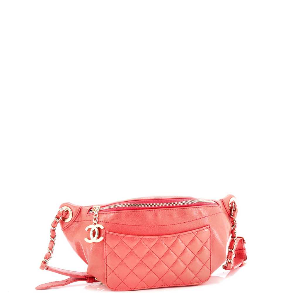 CHANEL Bi Classic Waist Bag Quilted Crumpled Calf… - image 2