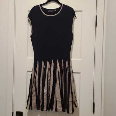 Ted Baker London Skater Dress