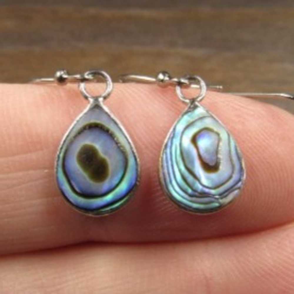 Sterling Silver Abalone Shell Small Teardrop Earr… - image 1