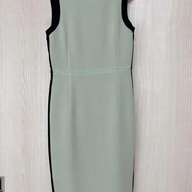 Sleeveless mint green and black dress.