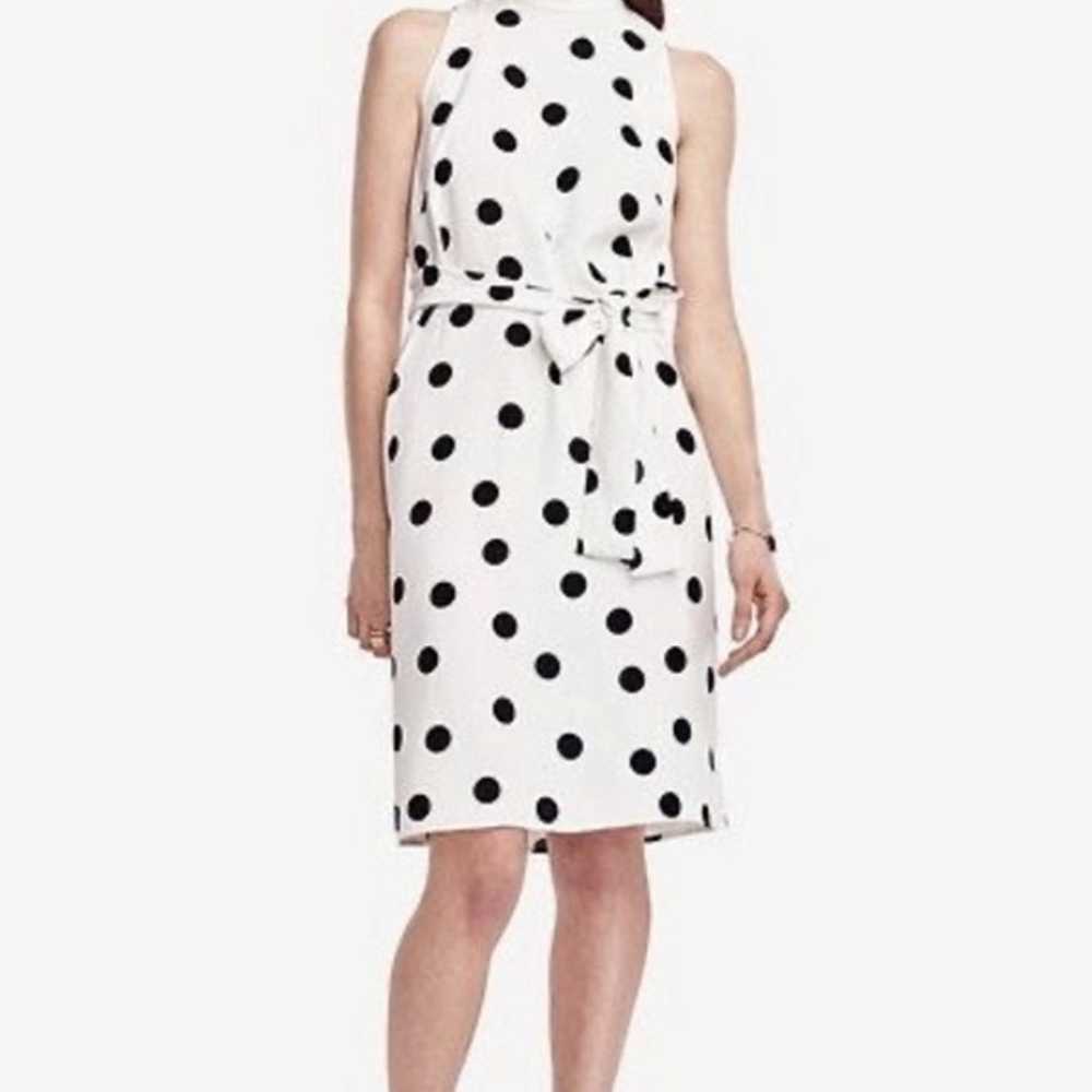 Ann Taylor Belted Dot Dress Size M MSRP$189.00 - image 1