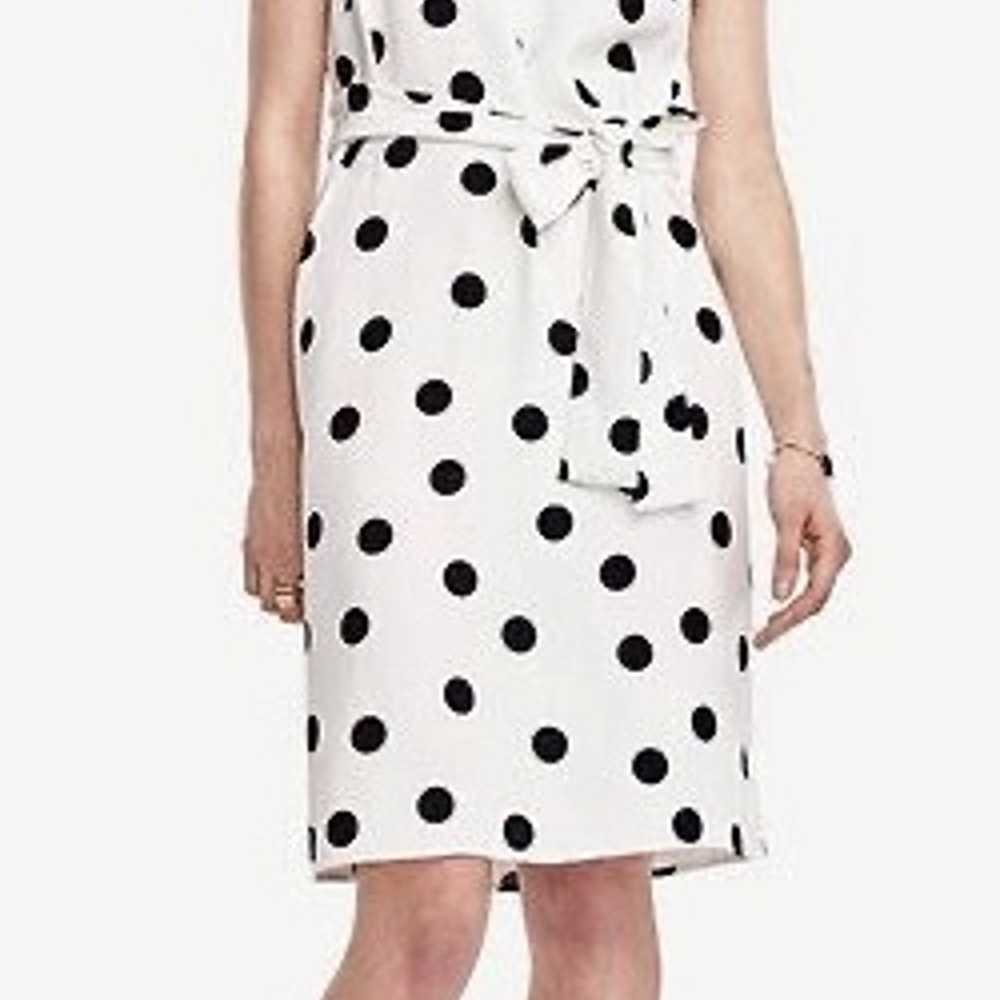 Ann Taylor Belted Dot Dress Size M MSRP$189.00 - image 2