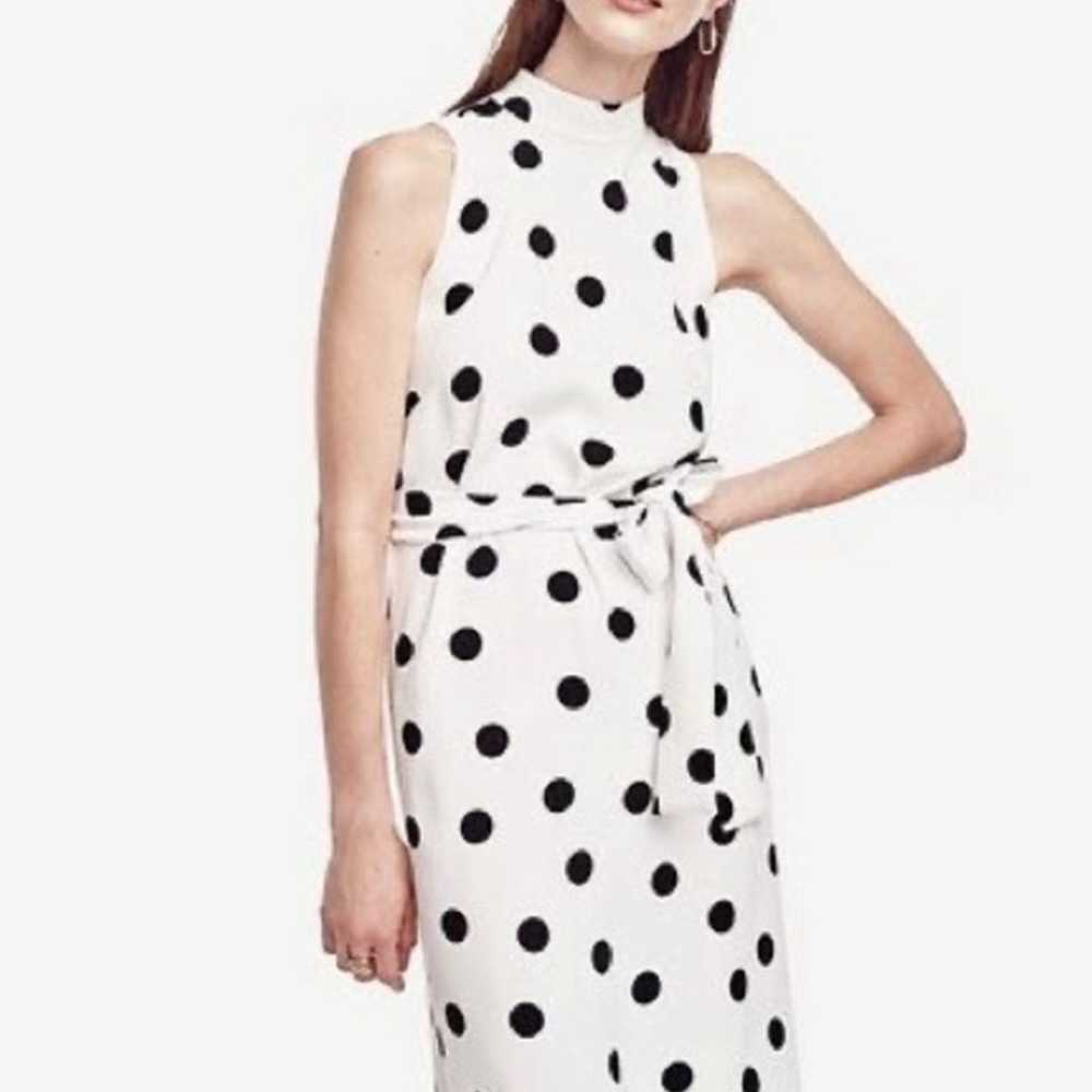 Ann Taylor Belted Dot Dress Size M MSRP$189.00 - image 3