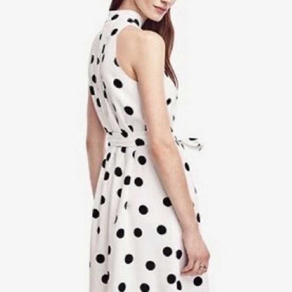 Ann Taylor Belted Dot Dress Size M MSRP$189.00 - image 5