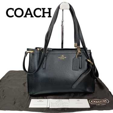 1262 Beautiful COACH Handbag 2way 34673