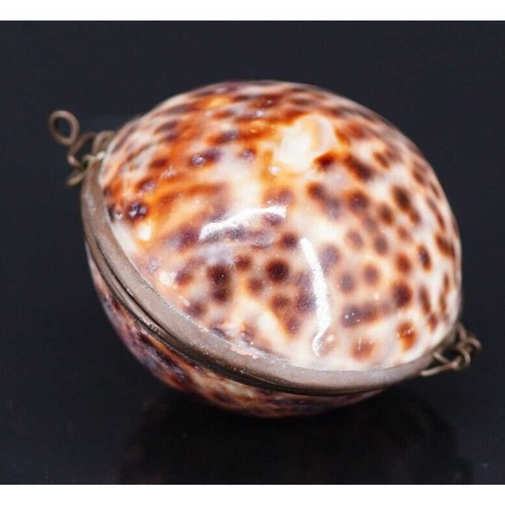 Vintage Brown Tiger Cowrie Shell Hinged Trinket B… - image 3