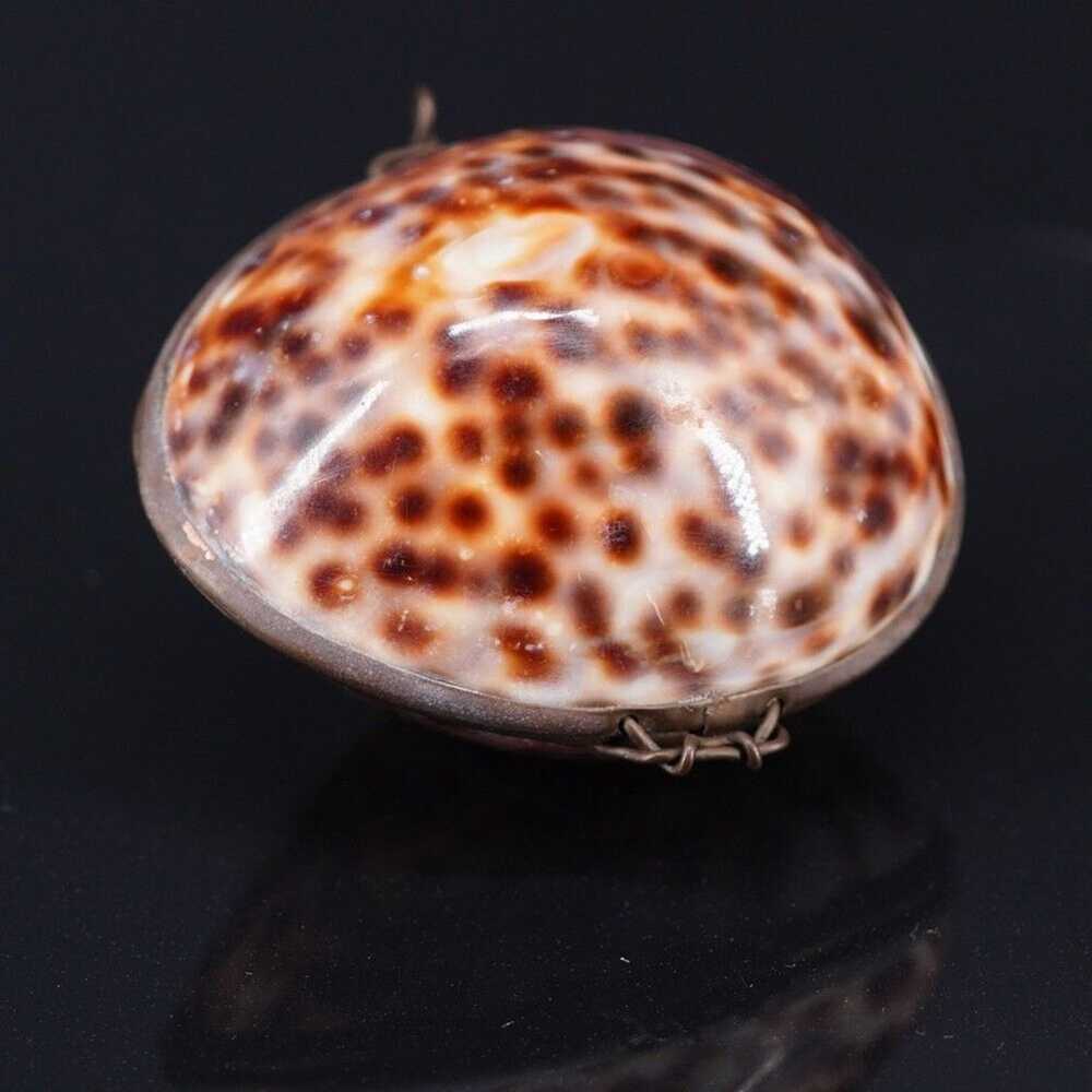 Vintage Brown Tiger Cowrie Shell Hinged Trinket B… - image 4