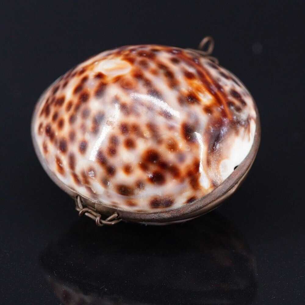 Vintage Brown Tiger Cowrie Shell Hinged Trinket B… - image 5