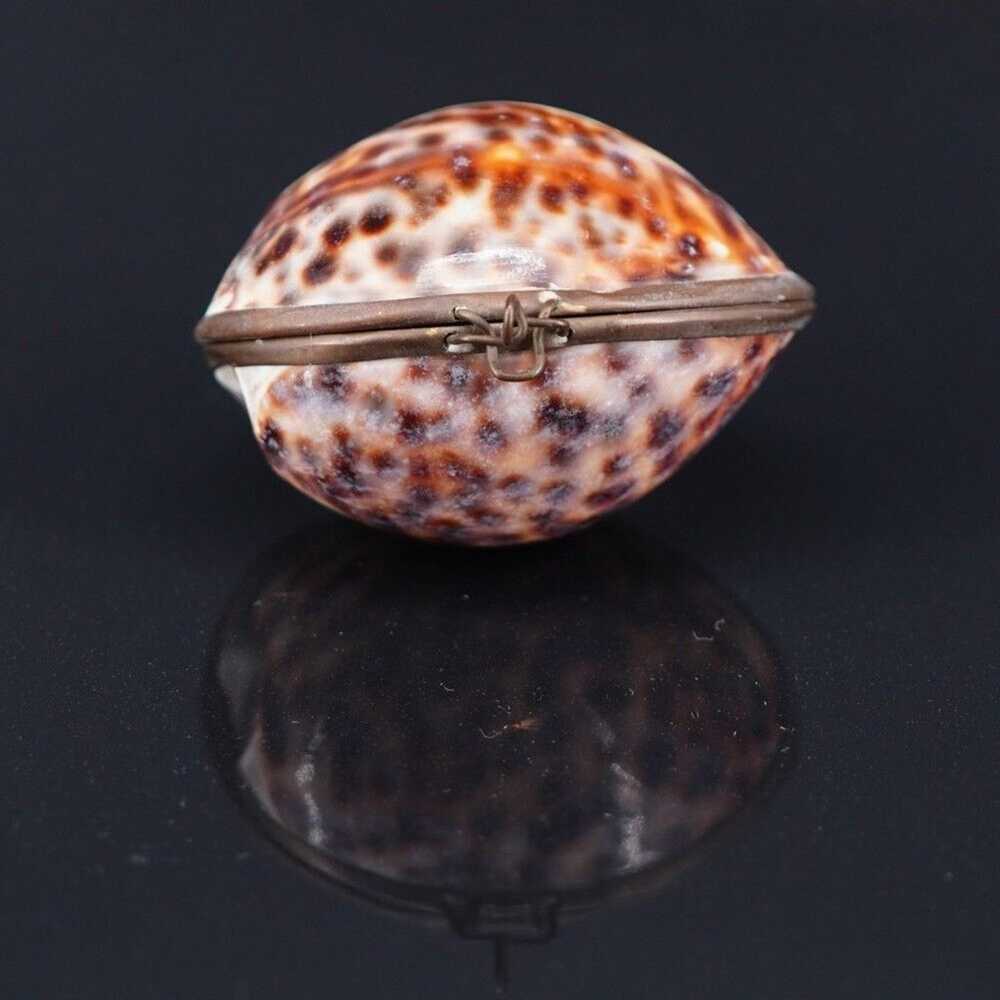 Vintage Brown Tiger Cowrie Shell Hinged Trinket B… - image 7