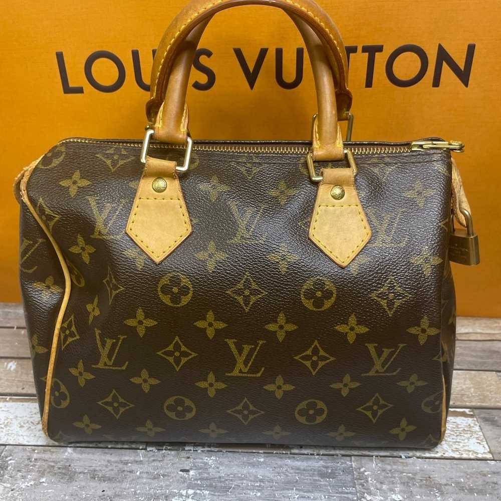 Louis Vuitton 25 (BUNDLE) - image 1