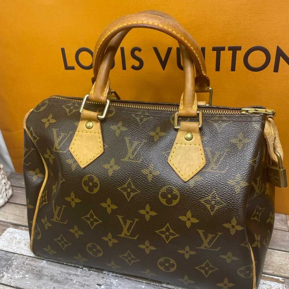 Louis Vuitton 25 (BUNDLE) - image 2