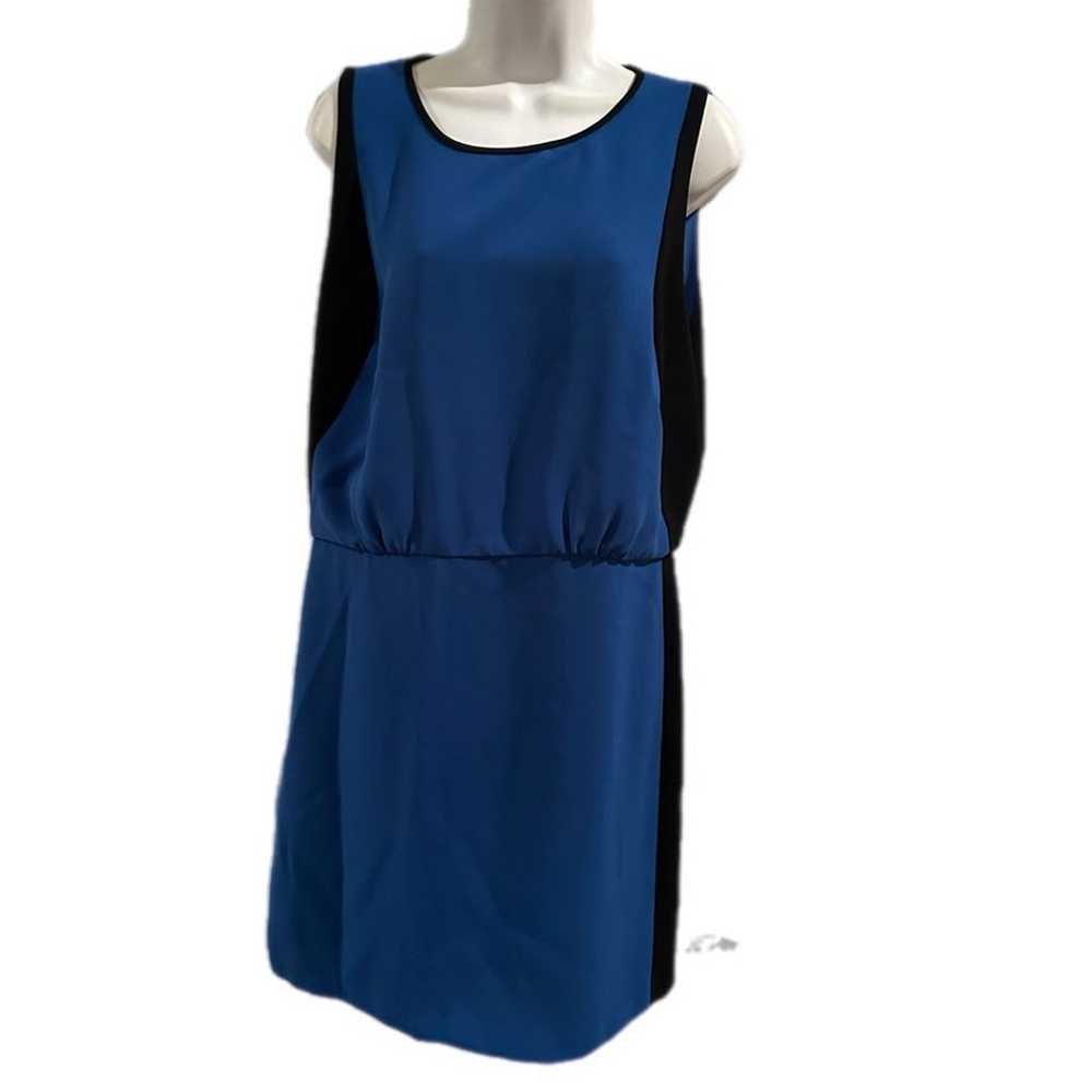 Ann Taylor Loft Dress - image 4