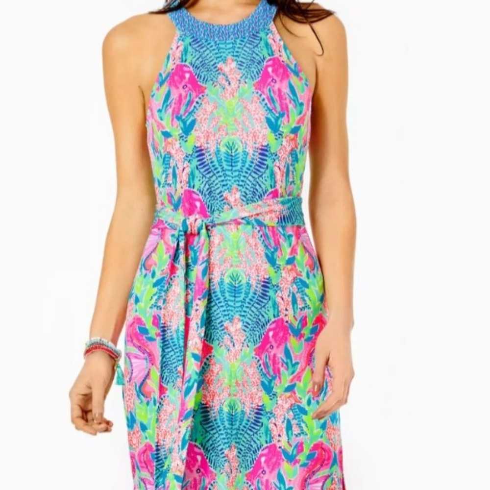 Lilly Pulitzer Monterrey Maxi dress XL - image 2