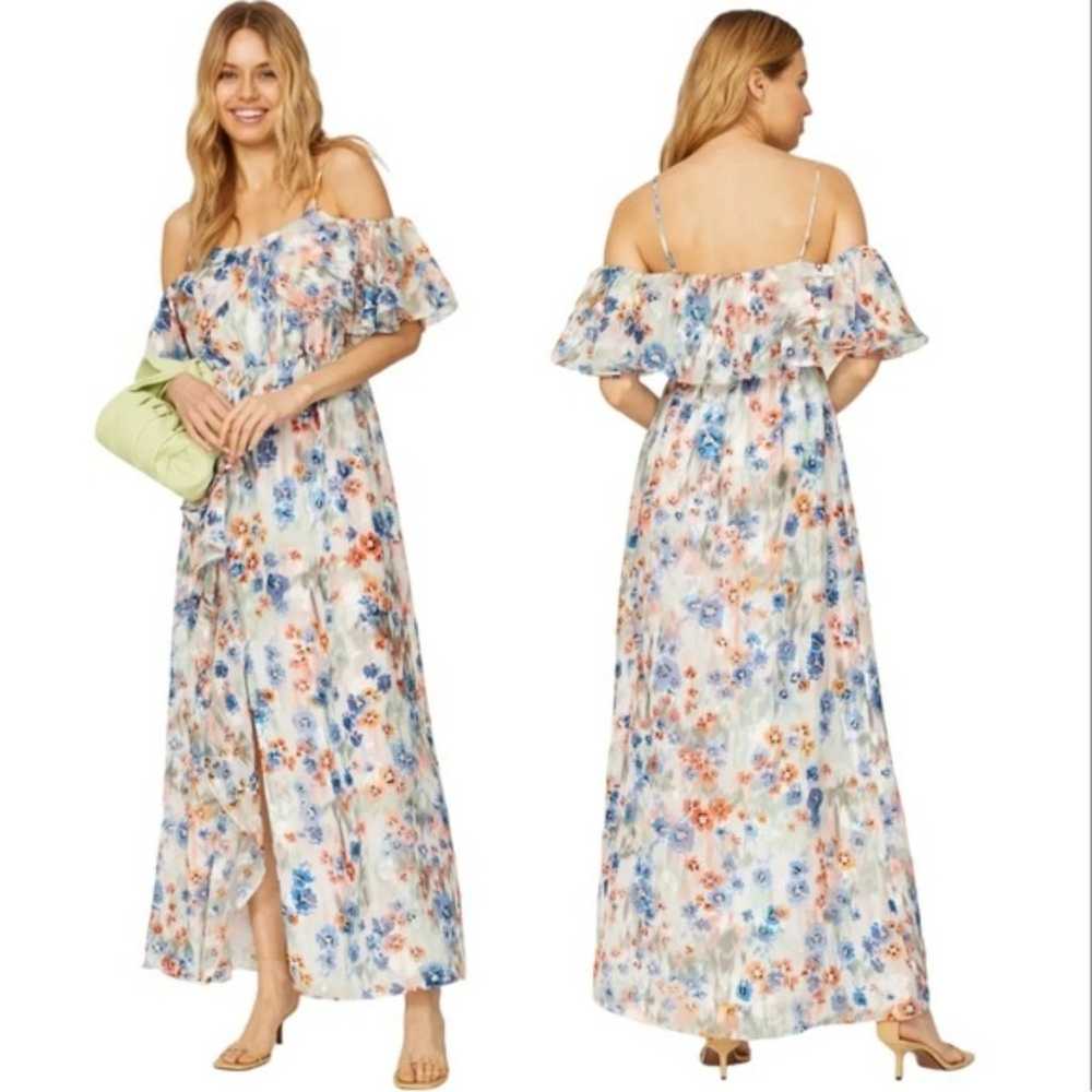 Tanya Taylor Lorena Maxi Dress Floral Print Ruffl… - image 1