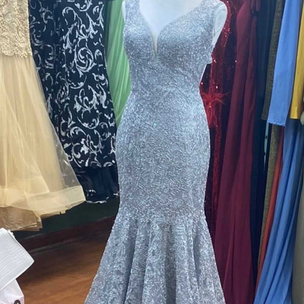 Gray/Silver Prom Dress - image 1