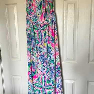 Lilly Pulitzer Maxi Dress - image 1