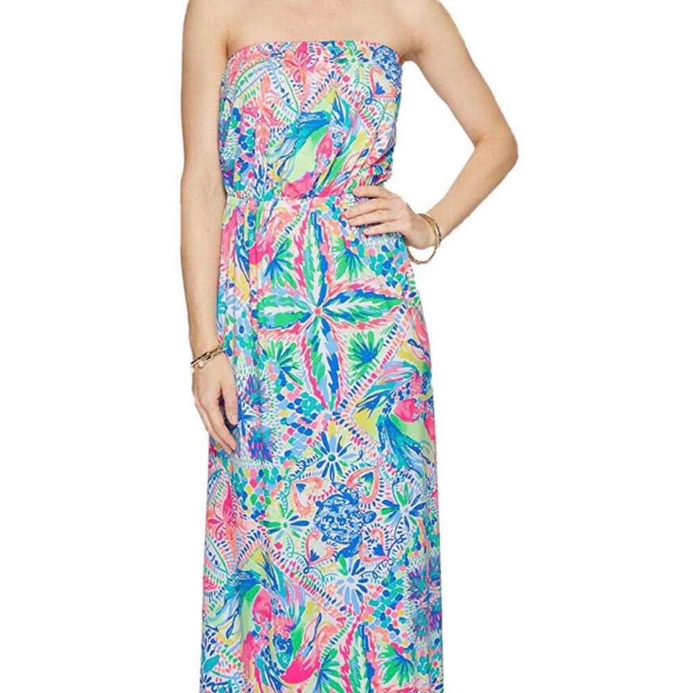 Lilly Pulitzer Maxi Dress - image 2