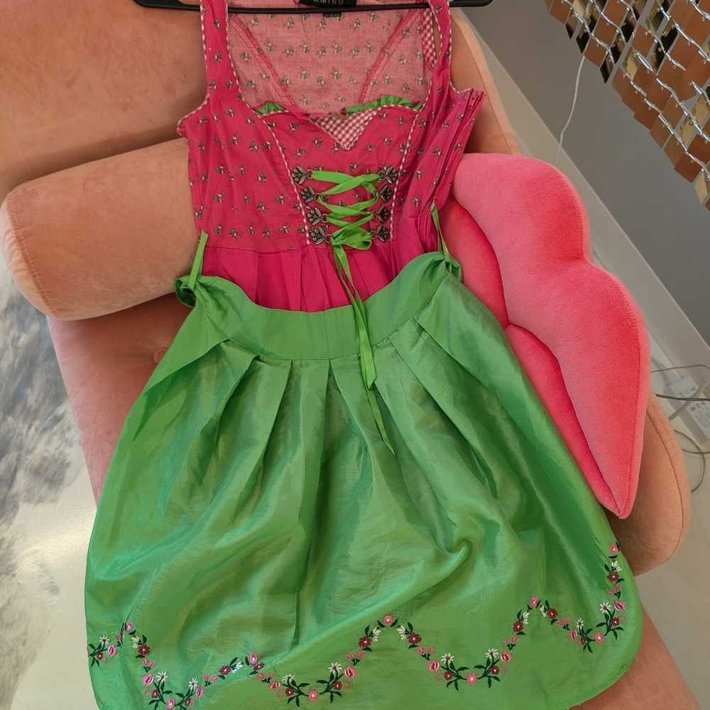 Oktoberfest Dirndl Dress - image 1