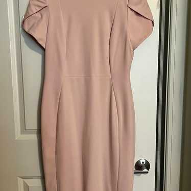 Calvin Klein Sheath dress size 8