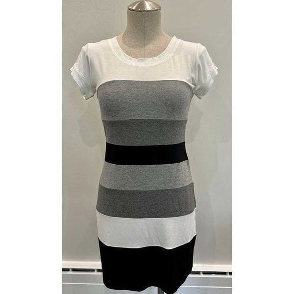 BCBGMaxAzria Short Sleeve Colorblock Stripe Dress… - image 1