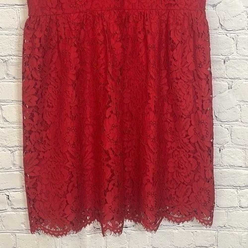 NWOT Loft Outlet Lace Dress - image 3