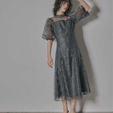 Organza Puff Sleeve Embroidered Dress