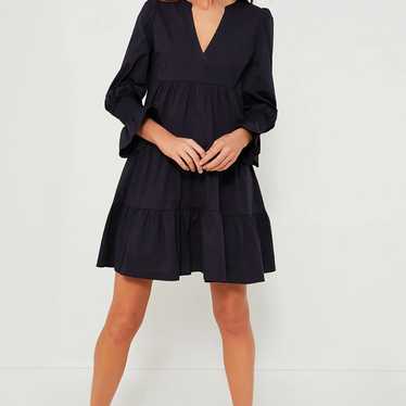 Navy Tuckernuck Dress - image 1