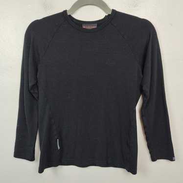 Other Icebreaker Bodyfit 260 100% Merino Wool Top 