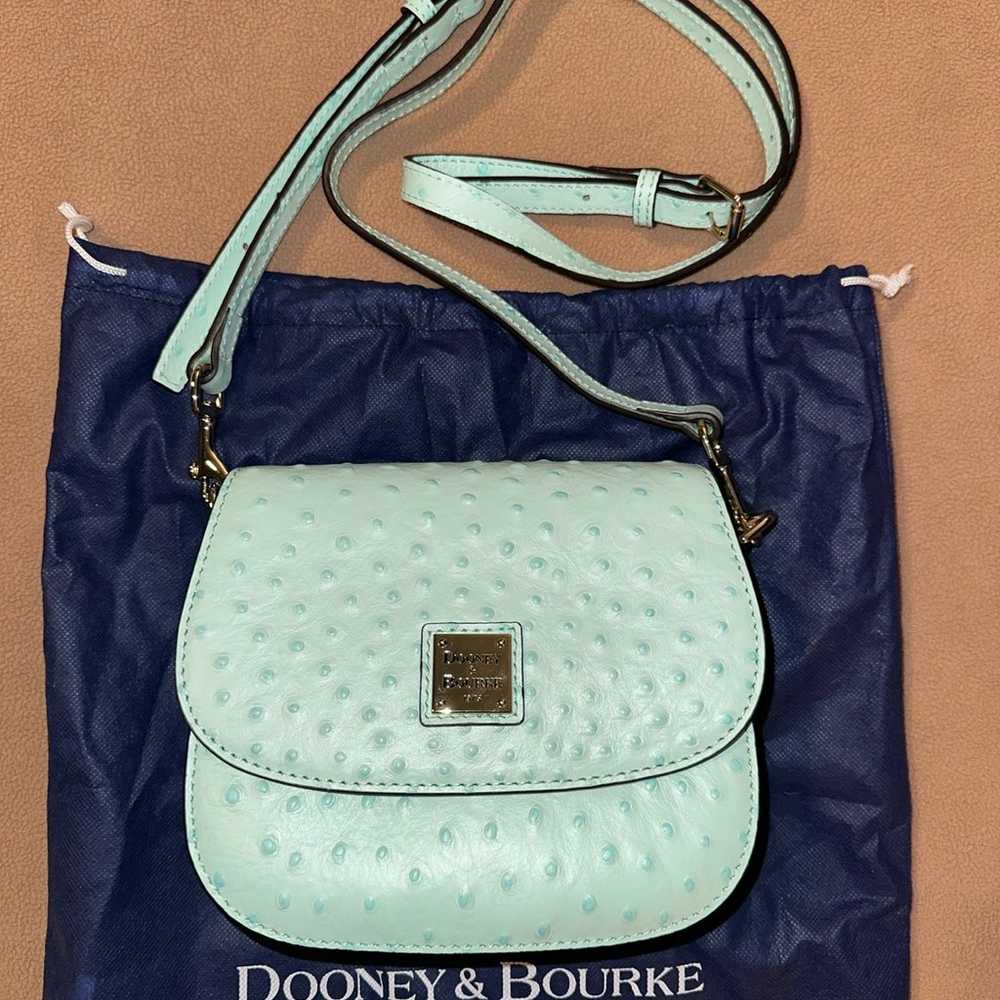 Dooney & Bourke Mint Green Leather Crossbody Smal… - image 2