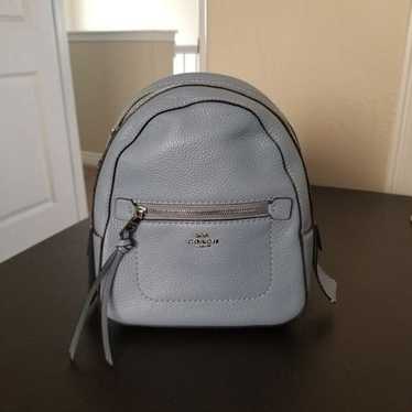 Coach Leather Mini Backpack