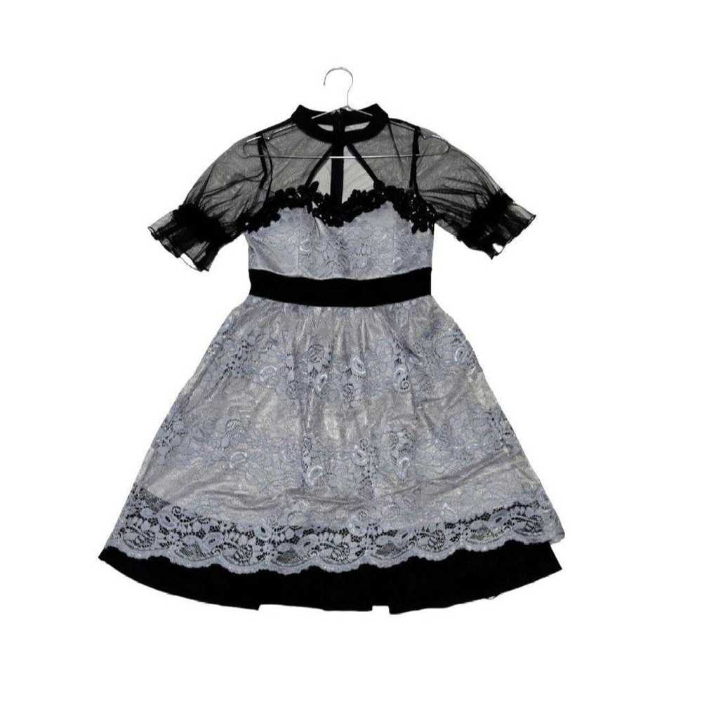 Dazzy Store Daisy Store Lace A-line Sheer M Black - image 1