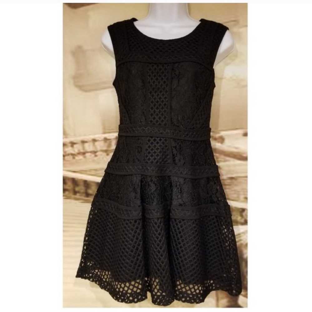 Black Lace mesh Fit-and-Flare Dress - image 1