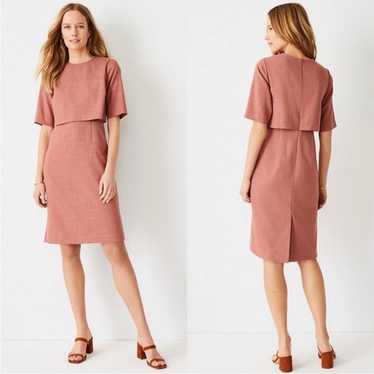 NWT Ann Taylor Elbow Sleeve Overlay Sheath Dress … - image 1