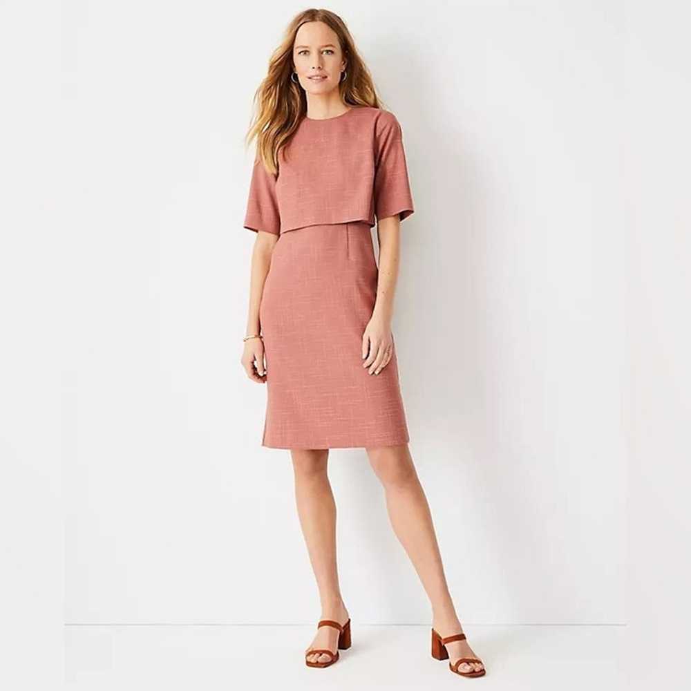 NWT Ann Taylor Elbow Sleeve Overlay Sheath Dress … - image 2