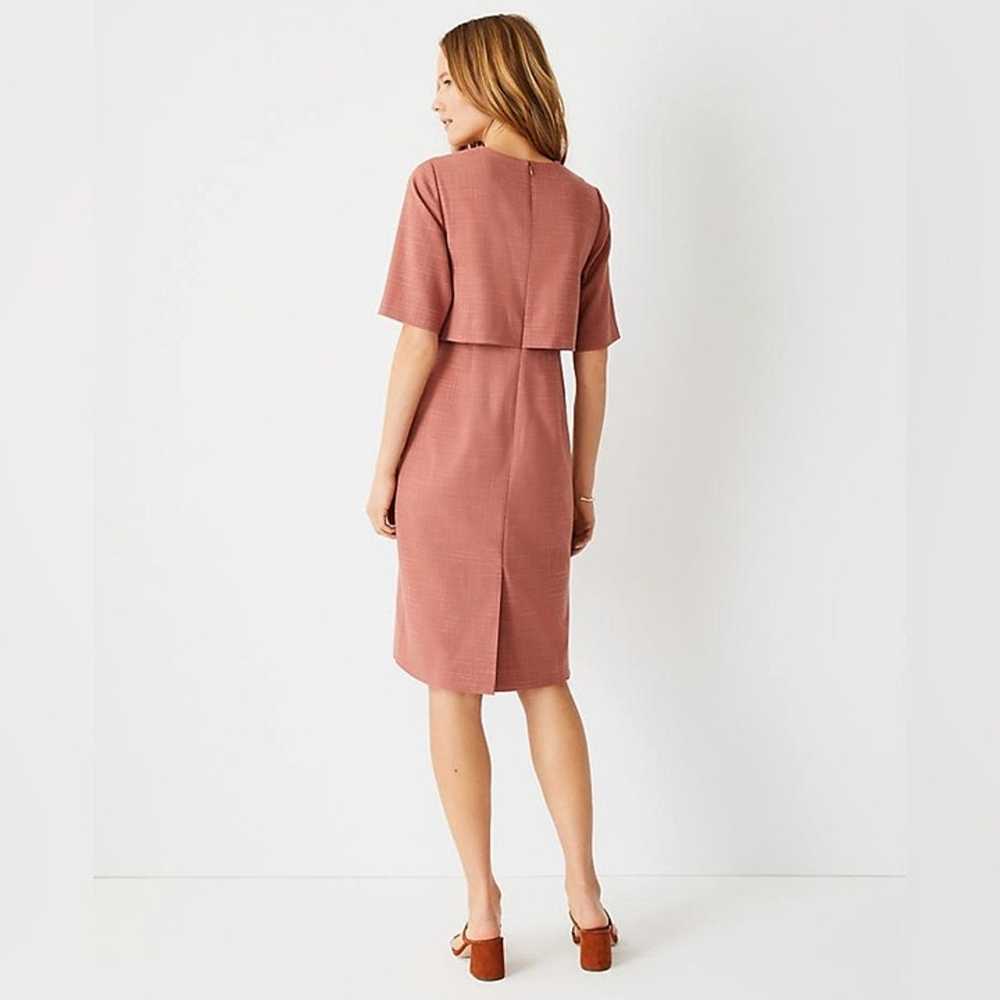 NWT Ann Taylor Elbow Sleeve Overlay Sheath Dress … - image 3