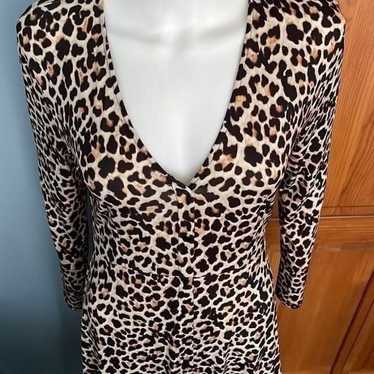 Zara Cheetah Leopard Print Asymmetrical Button Do… - image 1