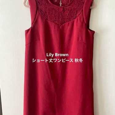 Lily Brown Mini Dress for Autumn and Winter - image 1