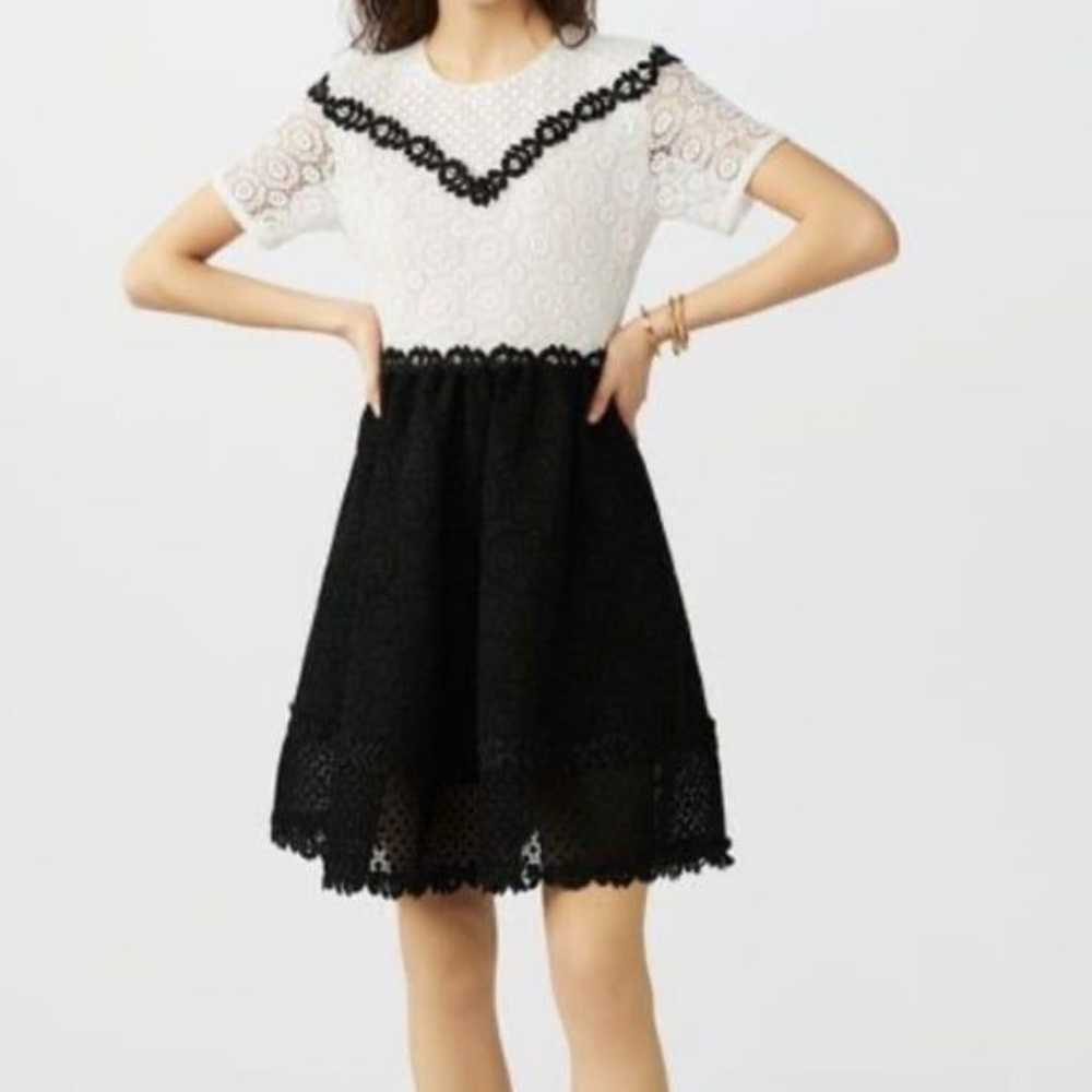 Maje Renald Two Tone Black & White Lace Fit & Fla… - image 1