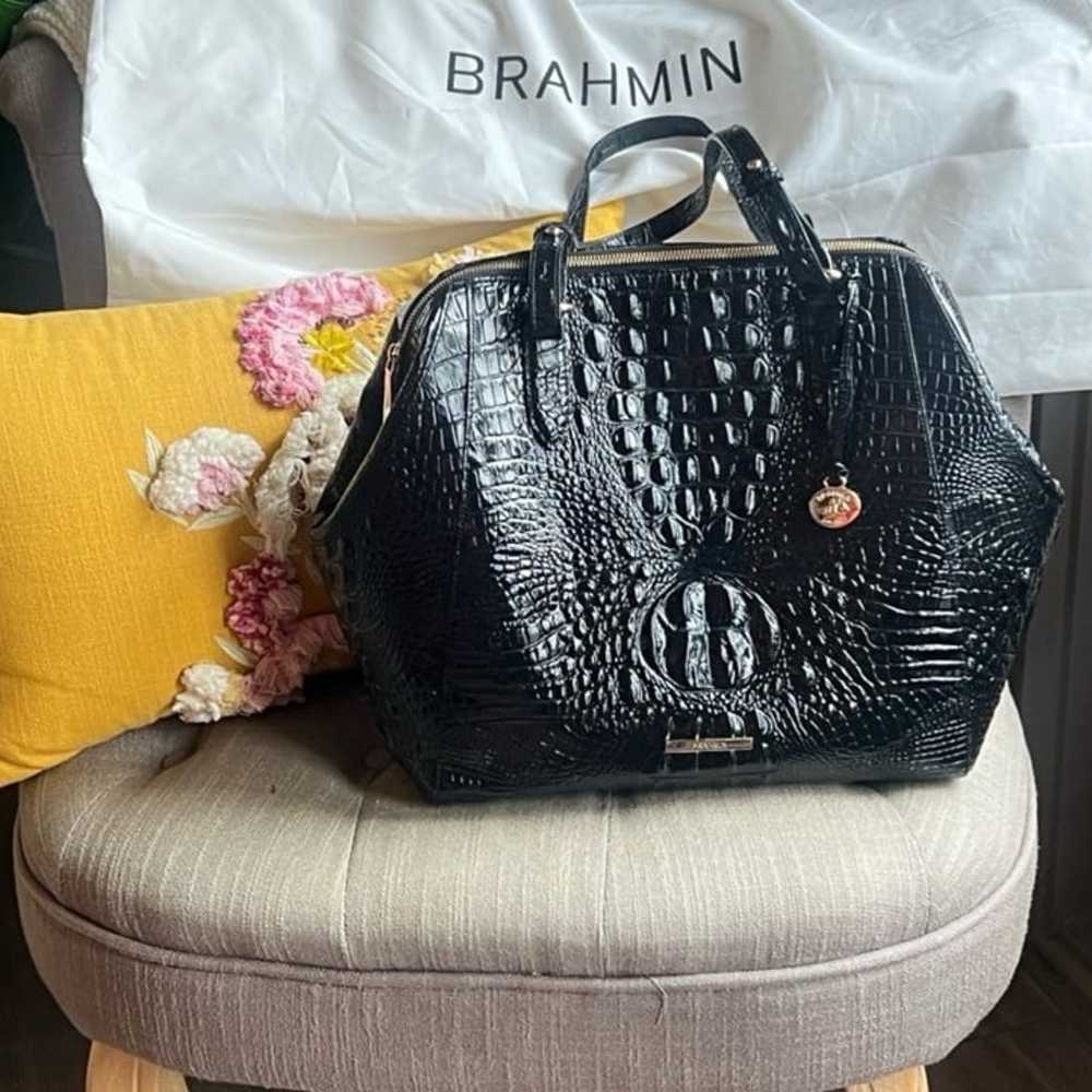 Brahmin Camilla - image 1