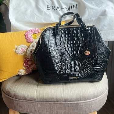 Brahmin Camilla - image 1