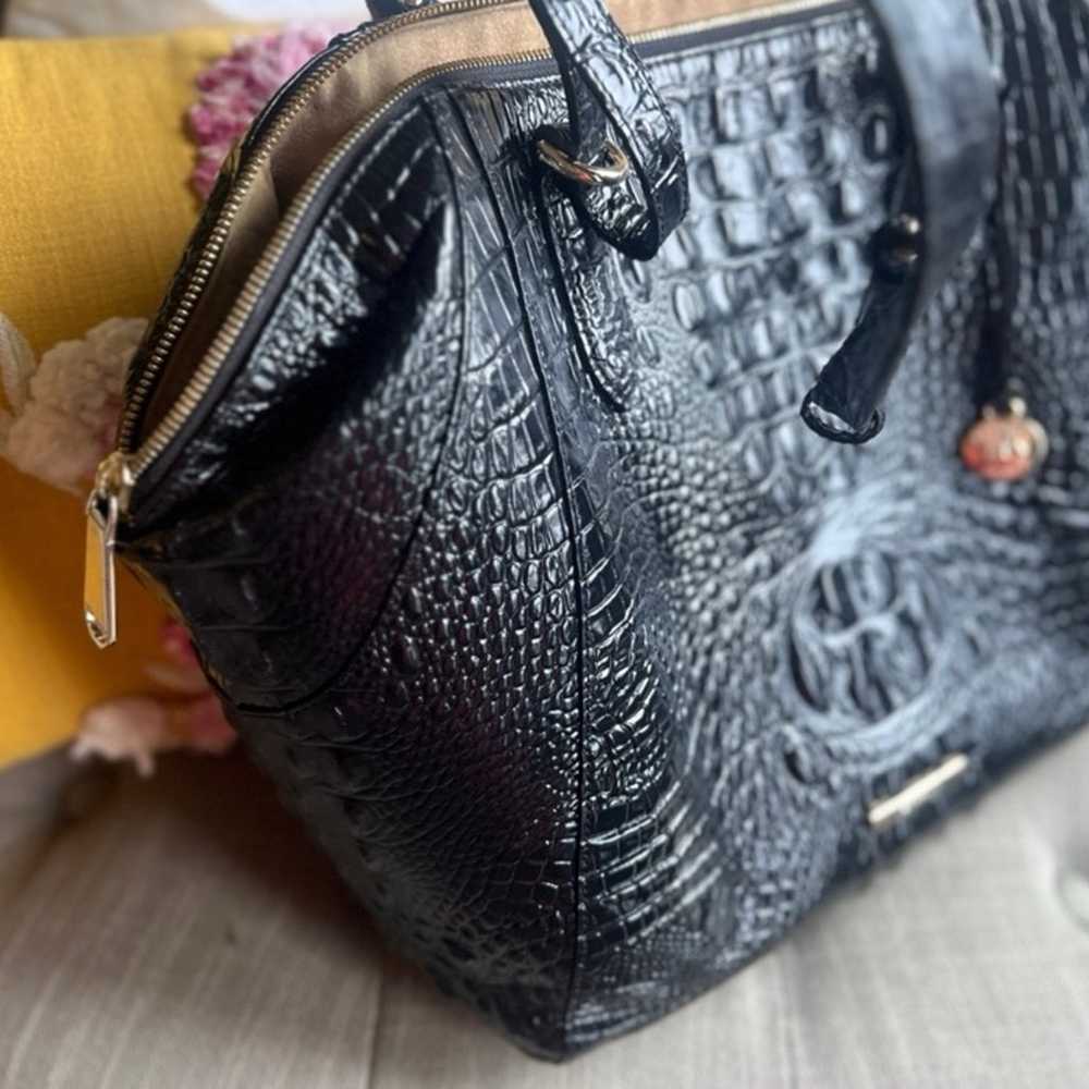 Brahmin Camilla - image 2