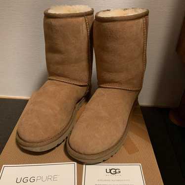 UGG W CLASSIC SHORT 5825 W/CHE 6