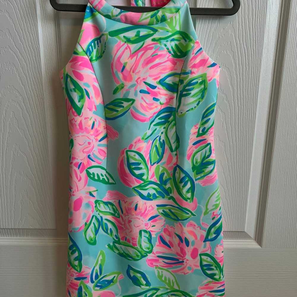 Lilly Pulitzer Dress Girls 10 Sophelia Shift Tota… - image 1