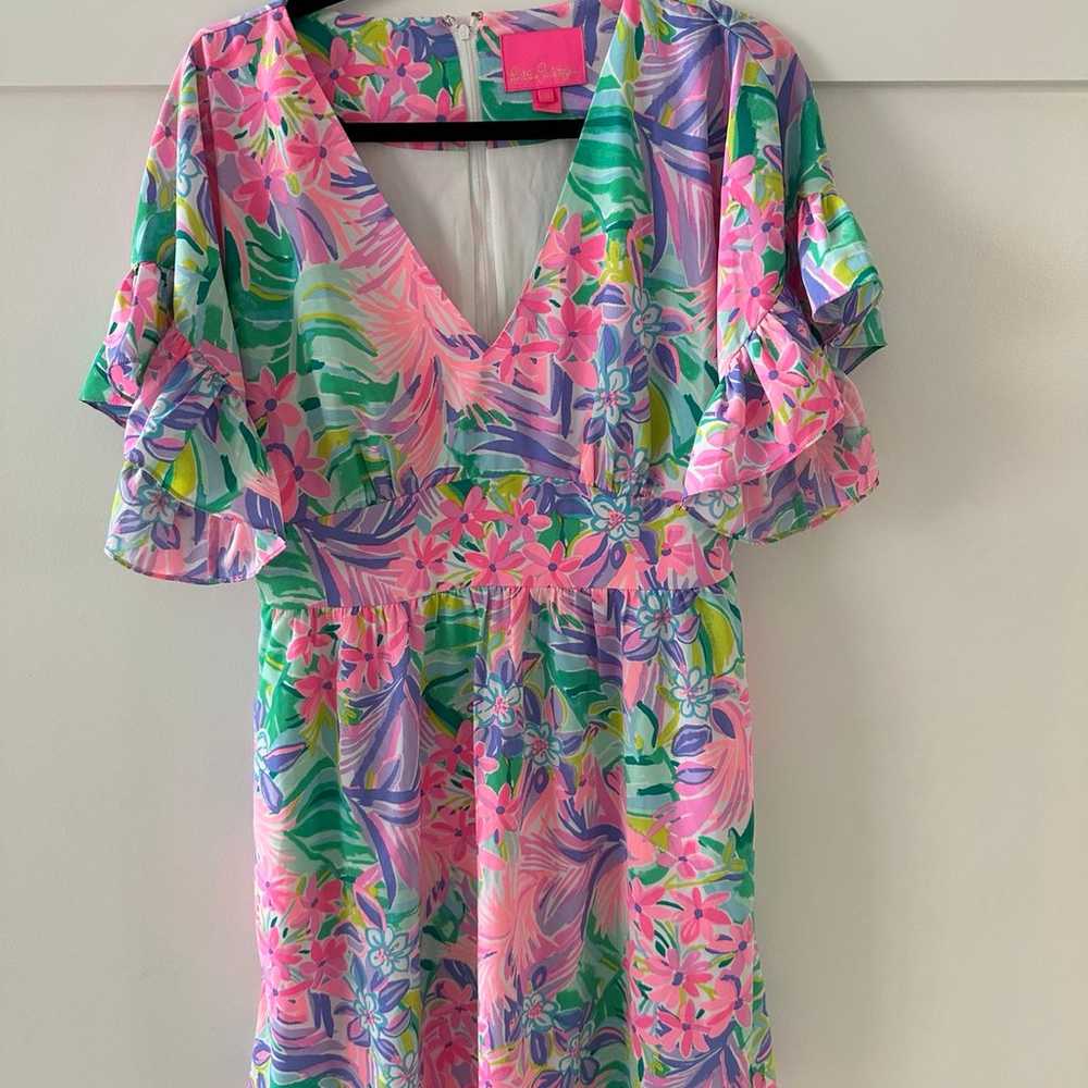 Lilly Pulitzer Blair dress - image 1