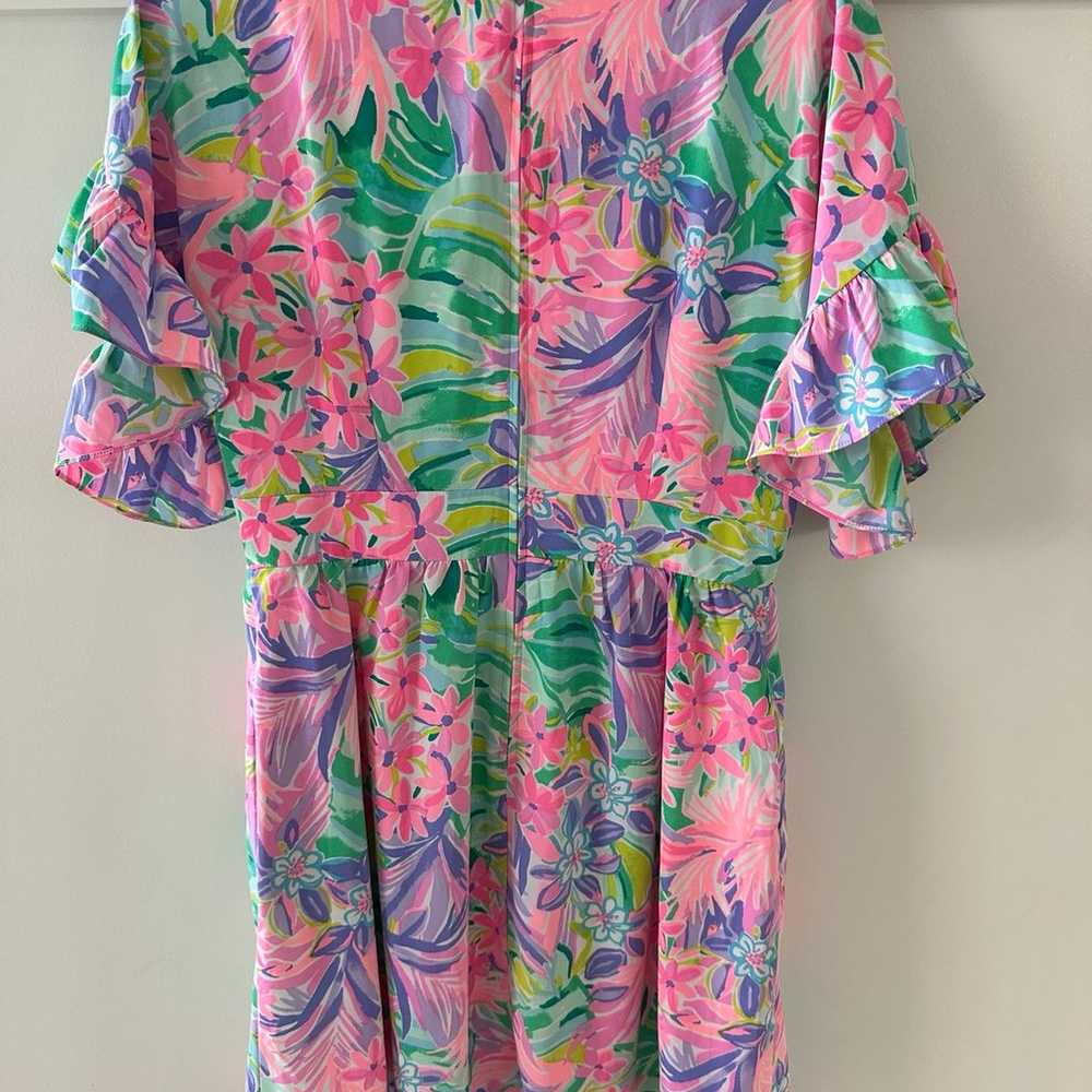 Lilly Pulitzer Blair dress - image 2