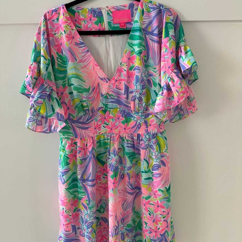 Lilly Pulitzer Blair dress - image 4