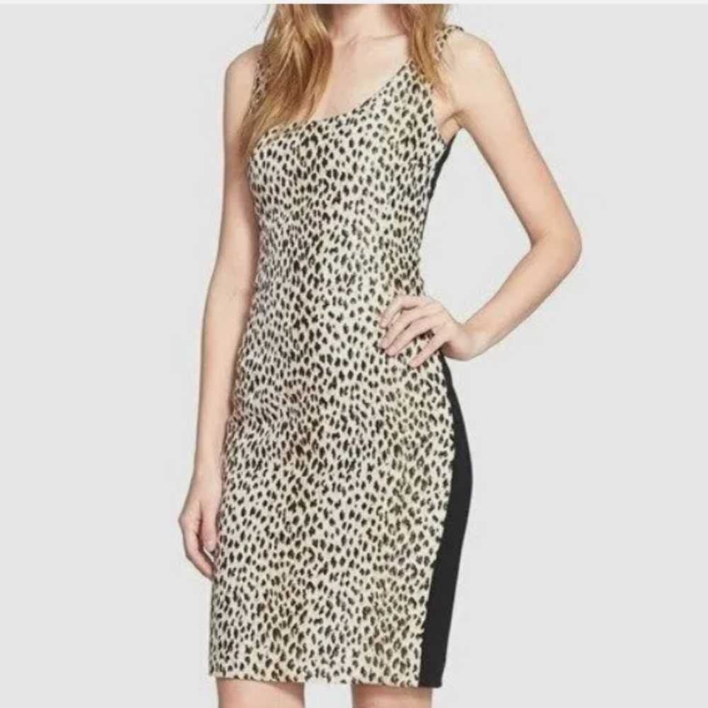 Diane Von Furstenberg  ARIANNA Combo Dress Leopar… - image 11