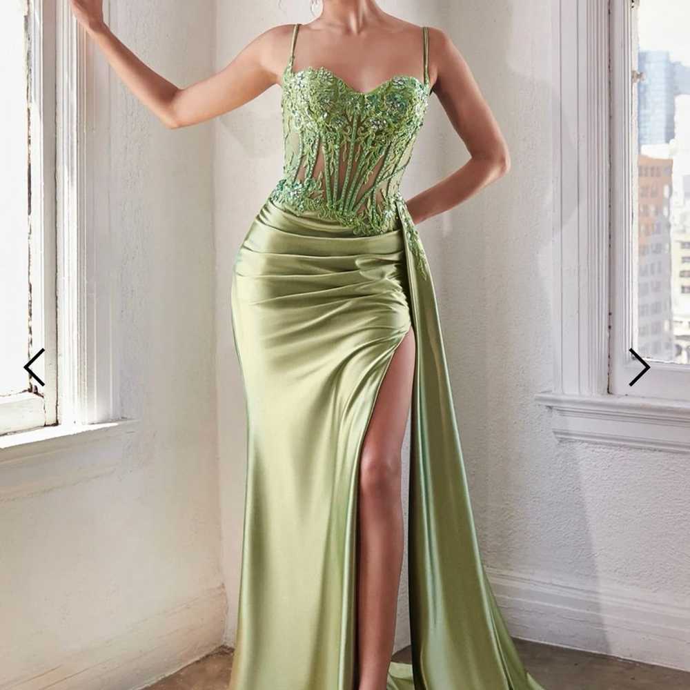 ladivine cinderella divine greenery formal dress - image 5