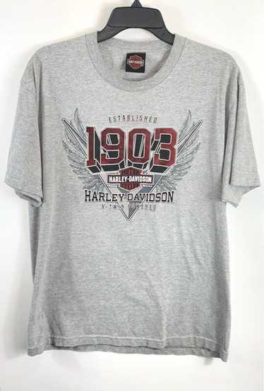 Harley-Davidson Harley Davidson Men Gray Graphic T