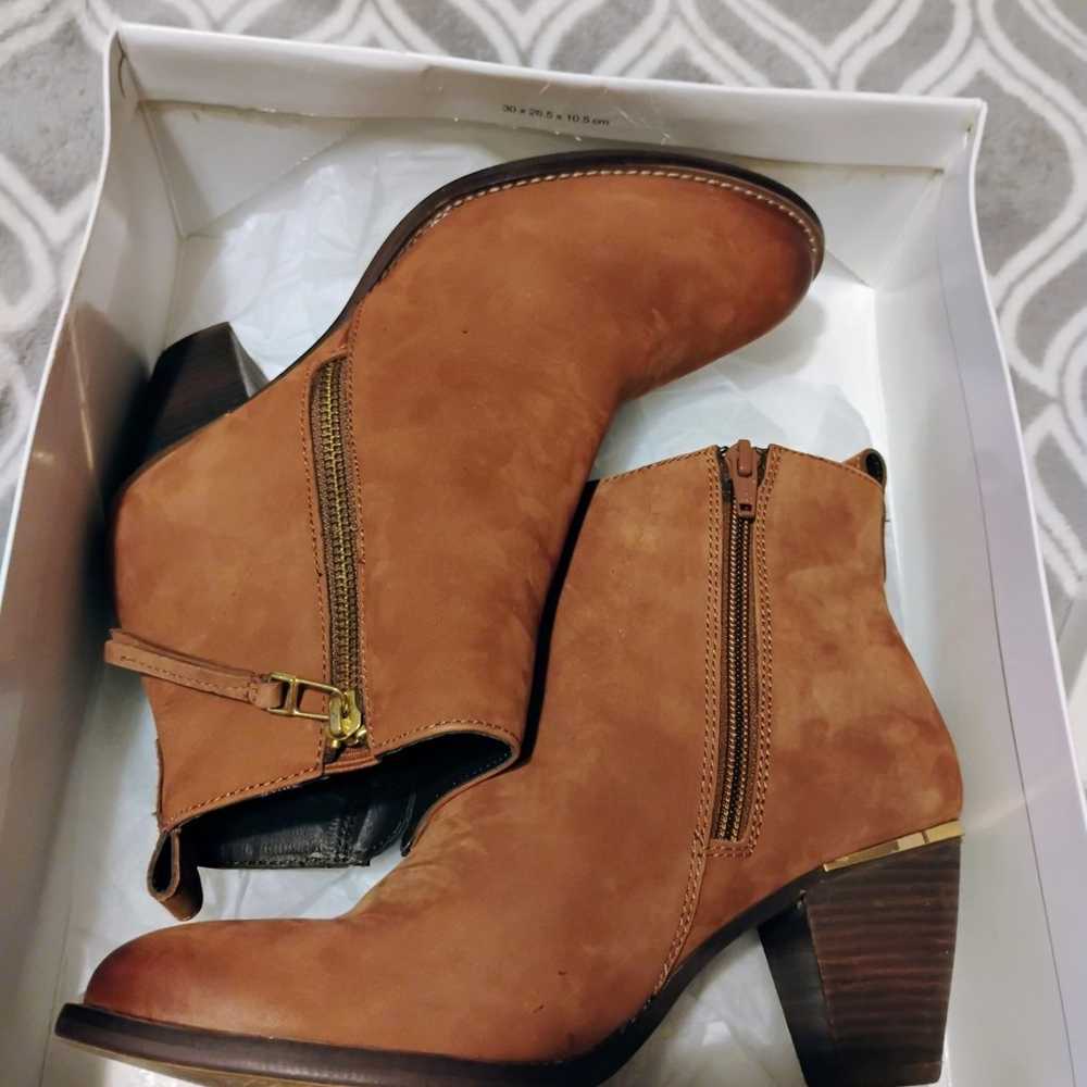 Steve Madden Suede Ankle Boots - image 4